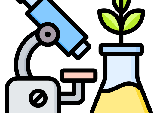 Quiz de Ciencias Naturales